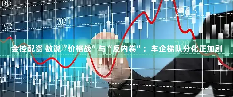 金控配资 数说“价格战”与“反内卷”：车企梯队分化正加剧