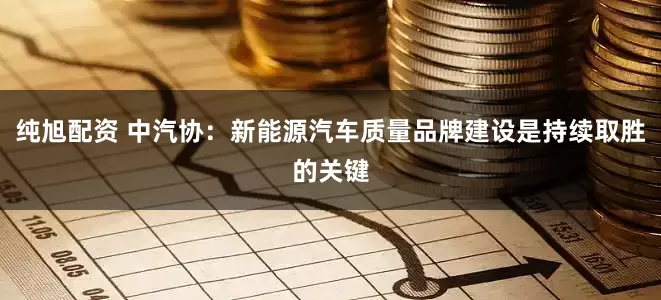 纯旭配资 中汽协：新能源汽车质量品牌建设是持续取胜的关键