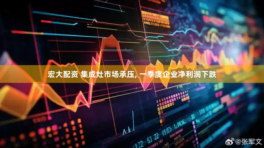 宏大配资 集成灶市场承压, 一季度企业净利润下跌