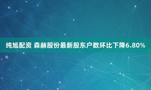 纯旭配资 森赫股份最新股东户数环比下降6.80%