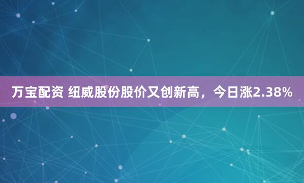 万宝配资 纽威股份股价又创新高，今日涨2.38%